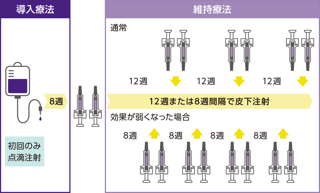 導入療法と維持療法