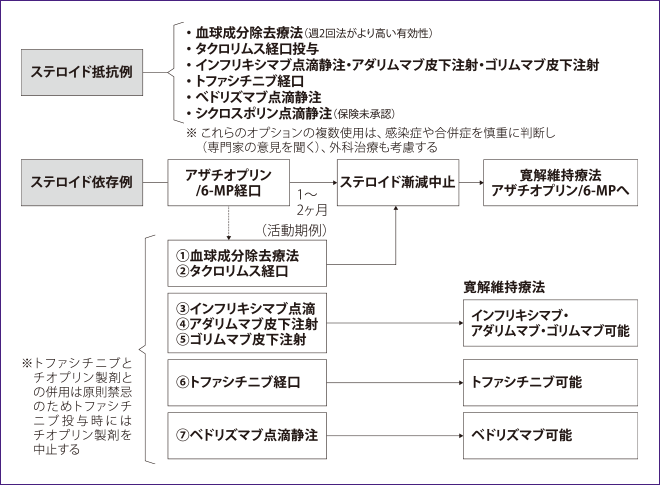 【潰瘍性大腸炎 治療指針：難治例の治療】