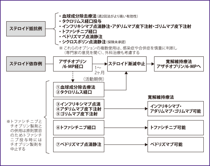 【潰瘍性大腸炎 治療指針：難治例の治療】