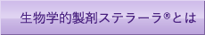 Page Not Found